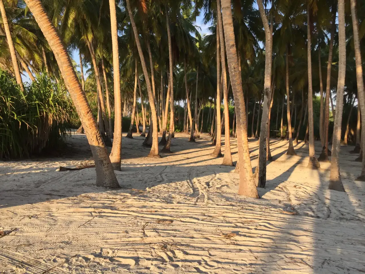 transform spaces